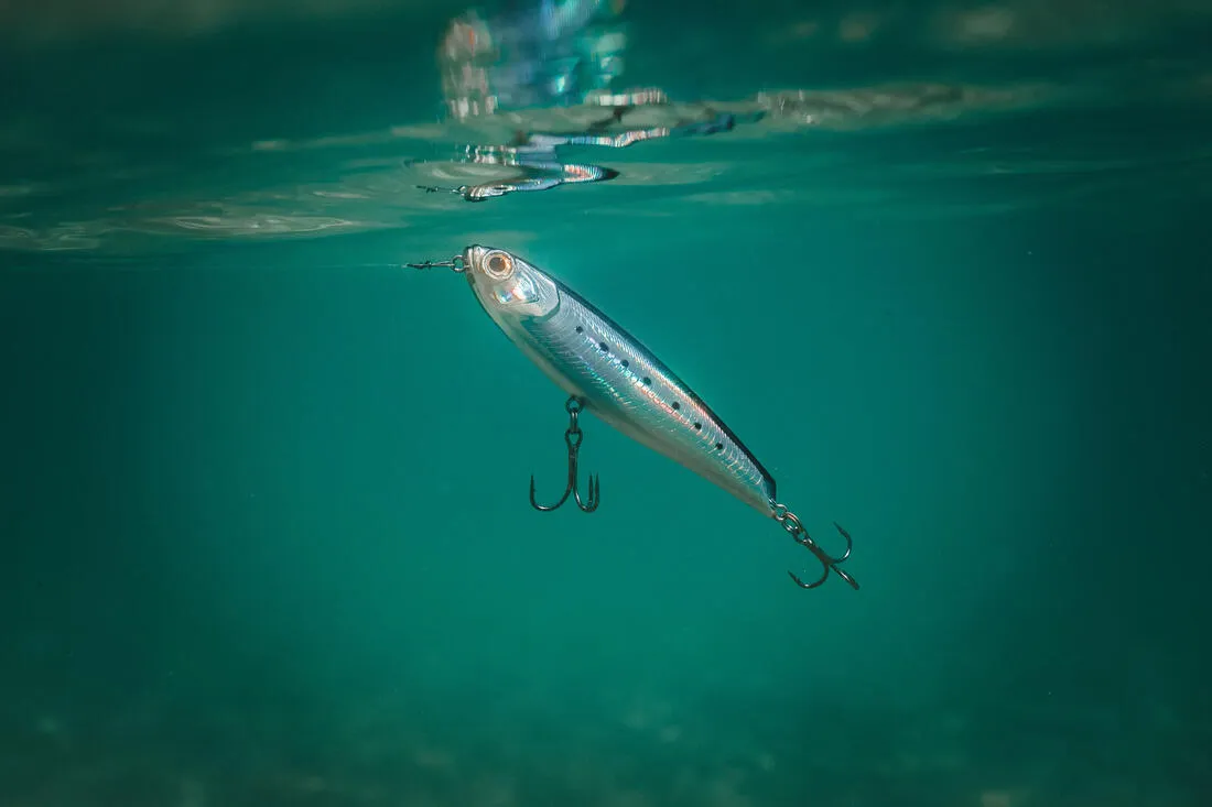 Poisson nageur WIZDOM 95F Bleu sardine au leurre en mer