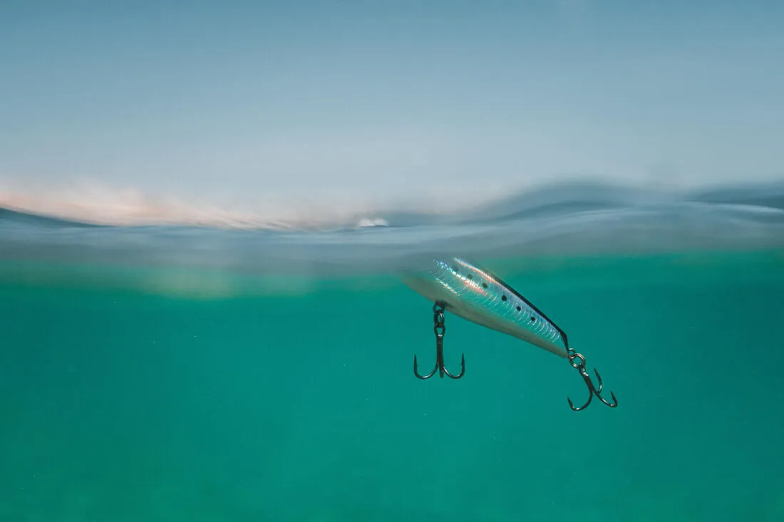 Poisson nageur WIZDOM 95F Bleu sardine au leurre en mer