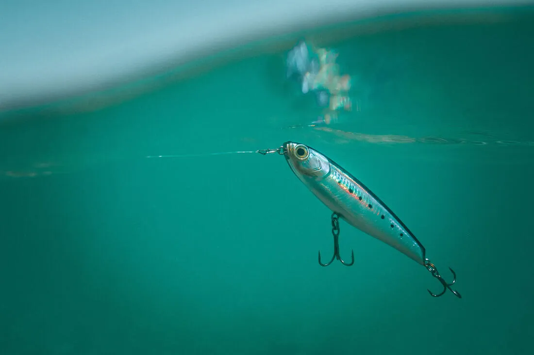 Poisson nageur WIZDOM 95F Bleu sardine au leurre en mer