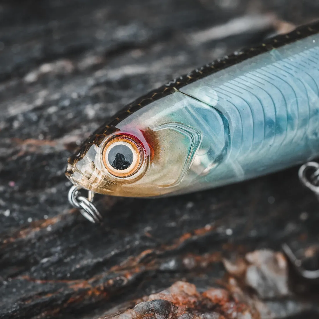 Poisson nageur WIZDOM 95F Bleu sardine au leurre en mer