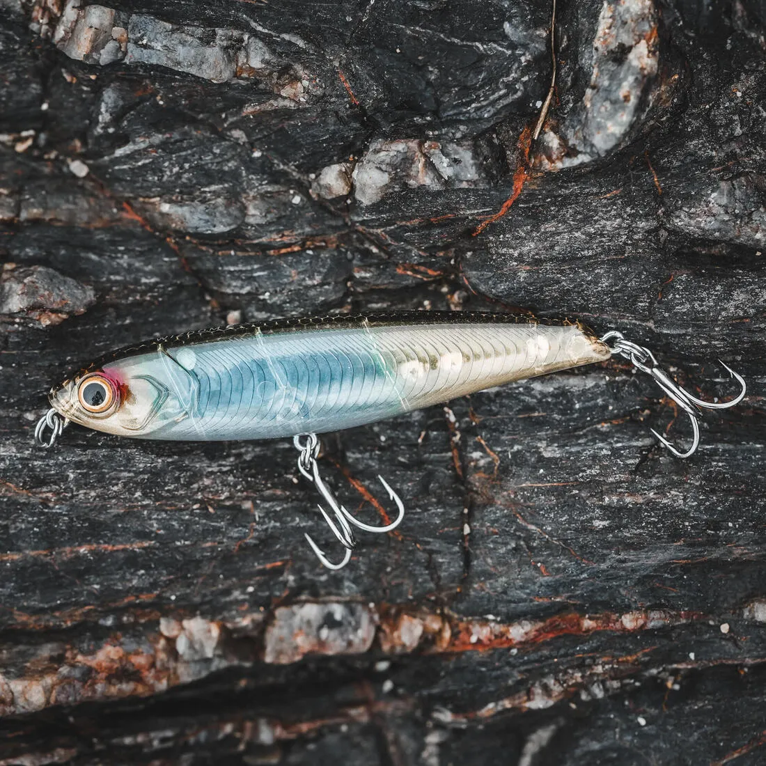 Poisson nageur WIZDOM 95F Bleu sardine au leurre en mer