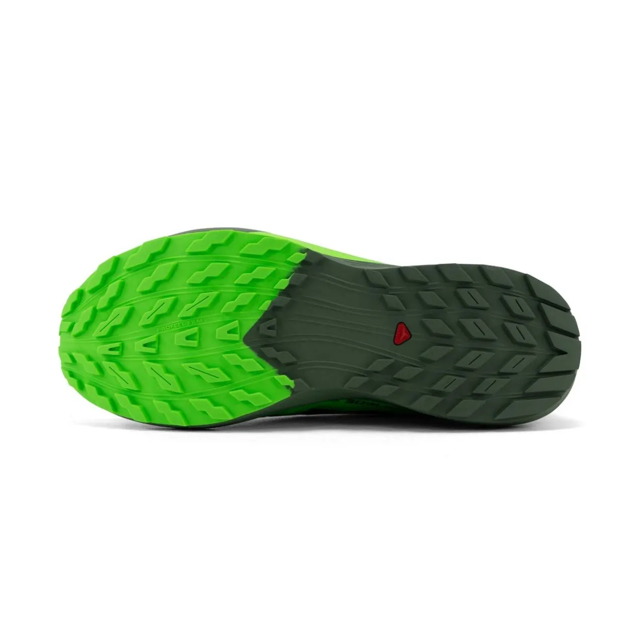 SALOMON SENSE RIDE 5 BLACK ET GREEN GECKO  Chaussures de trail