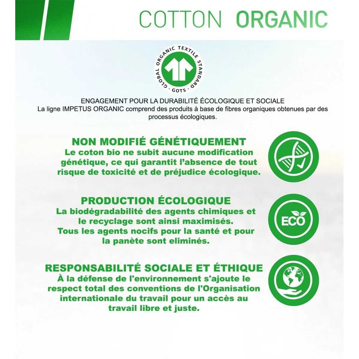 T-shirt homewear homme bio organique Oeko-Tex Cotton Organic blanc de la marque Impetus